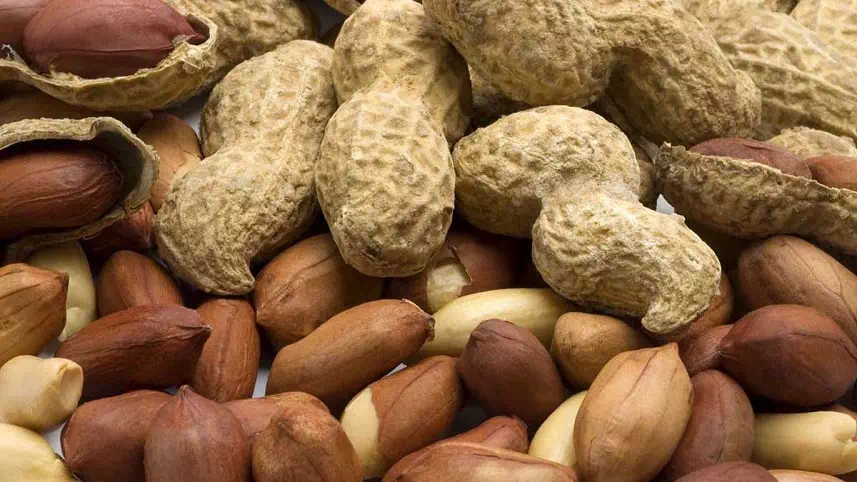 cacahuete