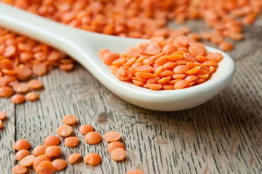 lentille_corail