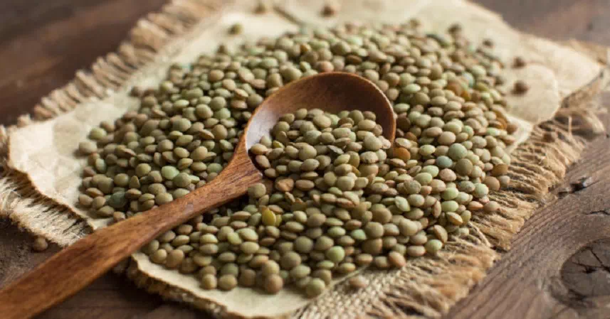 lentilles bienfaits