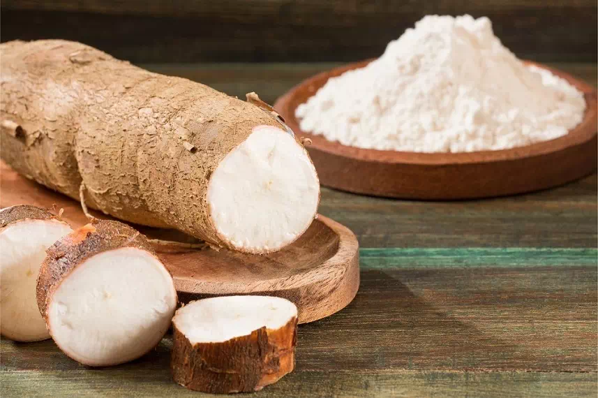 manioc