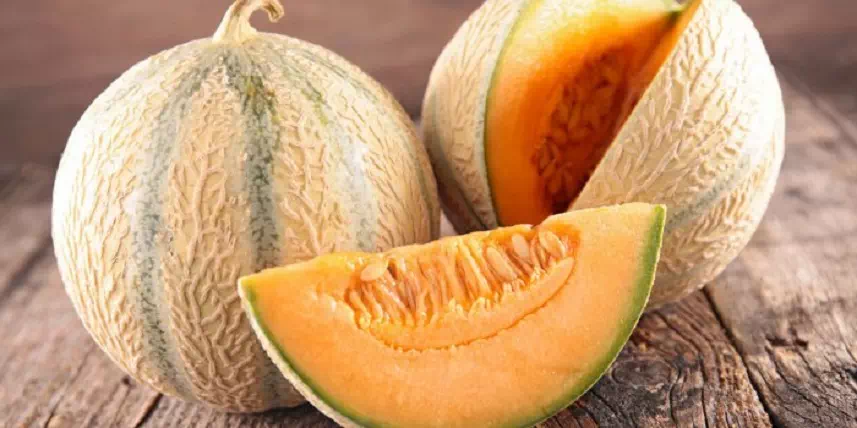 melon