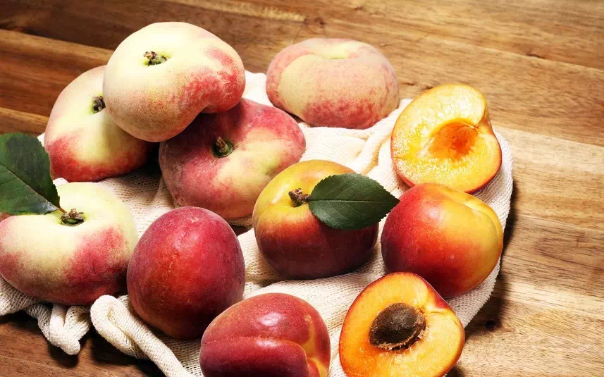 nectarine_brugnon