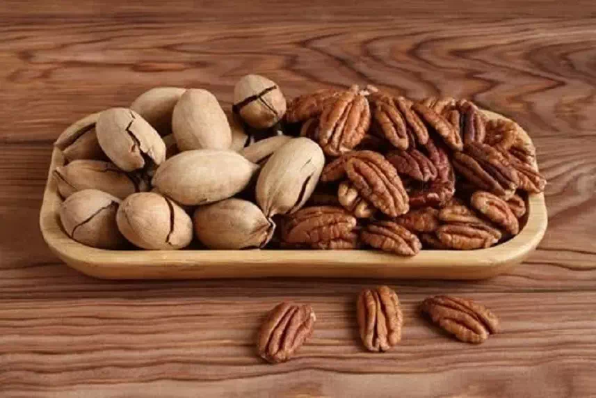 noix_de_pecan