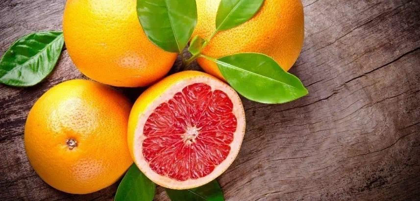 pamplemousse_pomelo