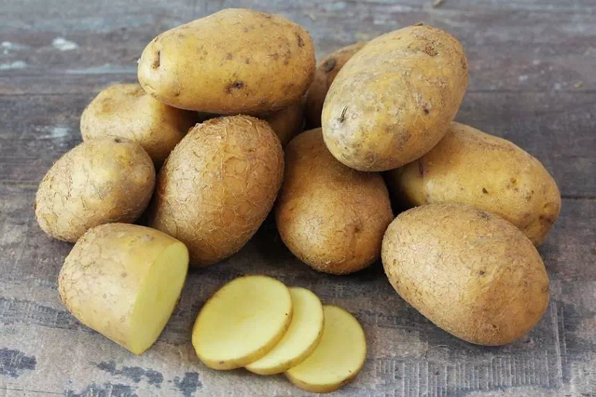 pomme_de_terre