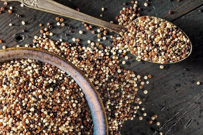 quinoa