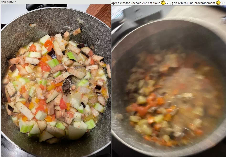 ratatouille_didou