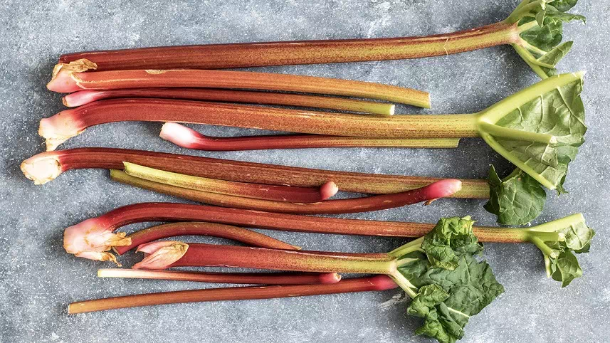 rhubarbe